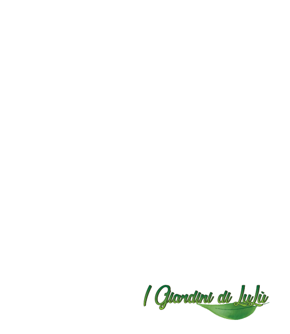 logo-white.png