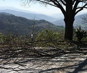 I Giardini di Lulù